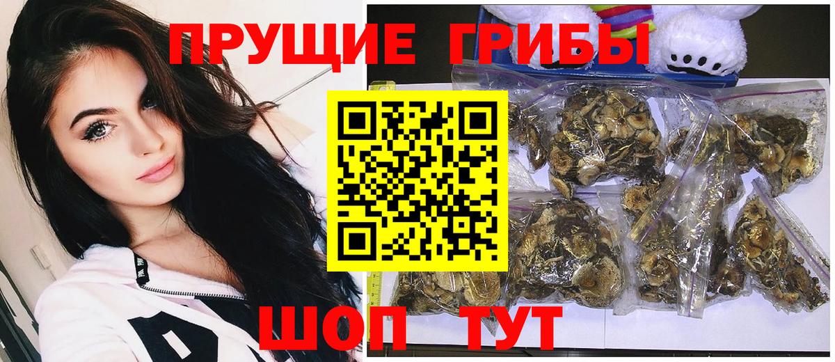 Псилоцибиновые грибы ЛСД Кудымкар